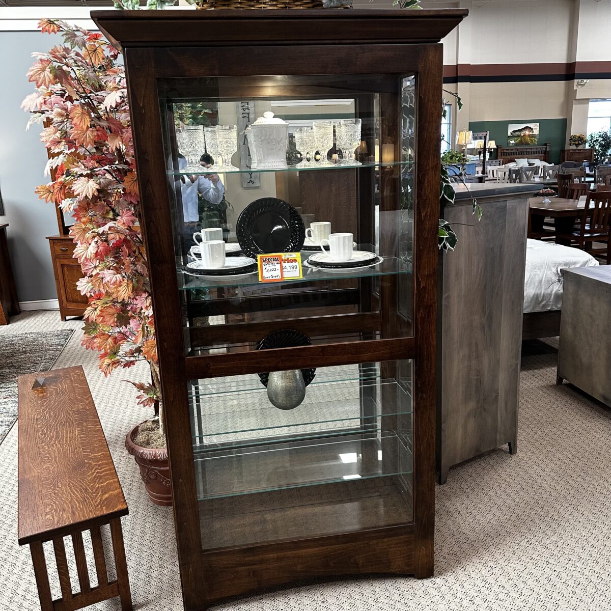 Brown Maple - Curio